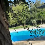 U Pantanu *