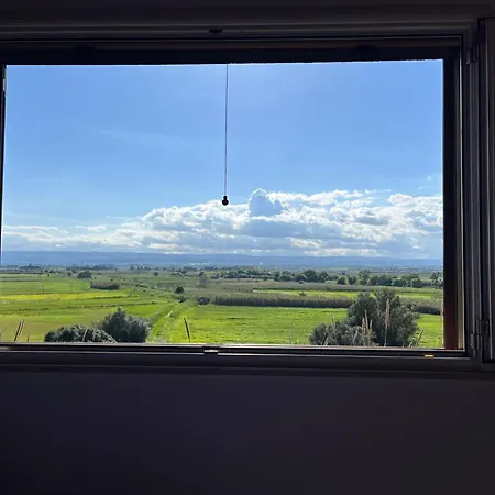 U Pantanu