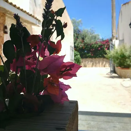 Apartamento U Pantanu *