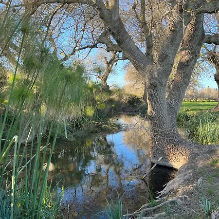 Διαμέρισμα U Pantanu