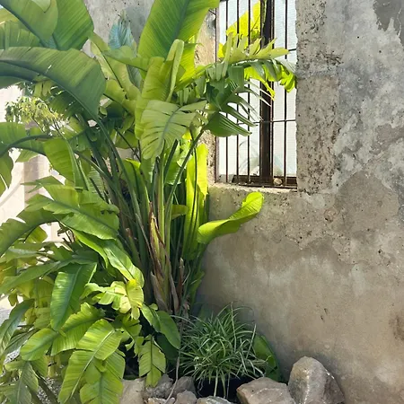 U Pantanu Apartment