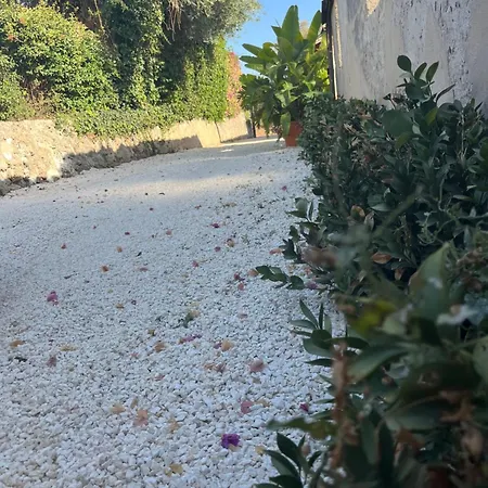 U Pantanu 아파트 *