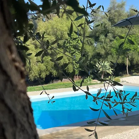 U Pantanu *
