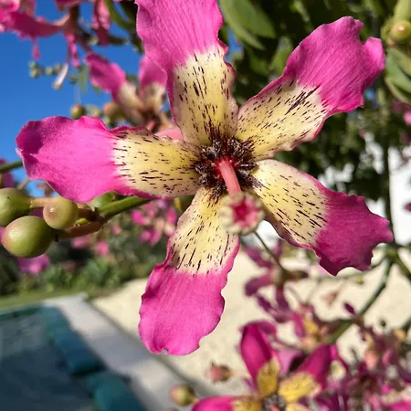 U Pantanu 아파트 *