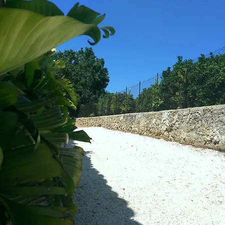 U Pantanu 시라쿠사