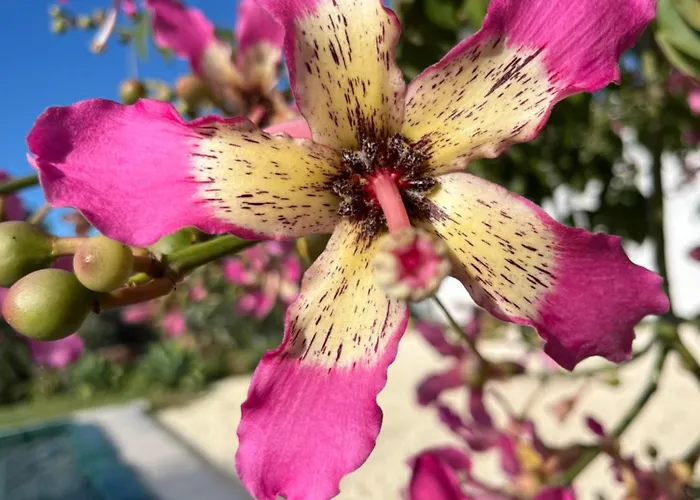 U Pantanu דירה *