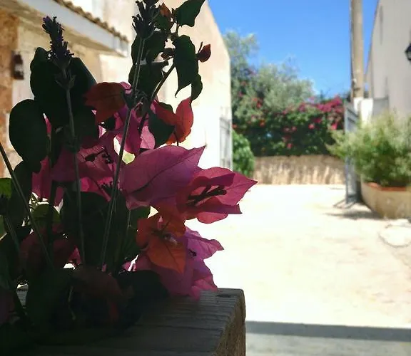 דירה U Pantanu *